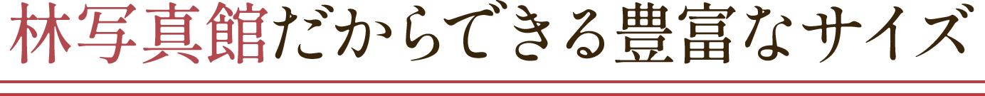 新春振袖 フェスタ「特別限定企画」