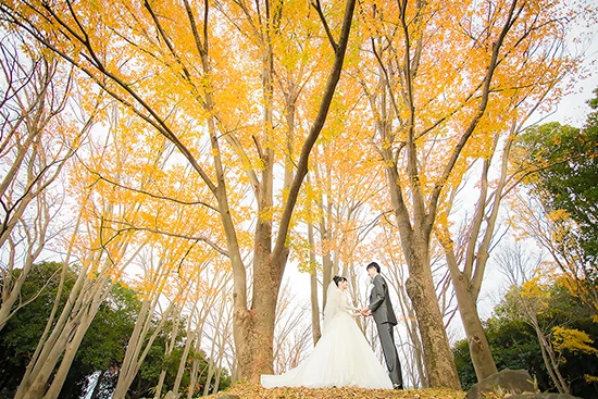 フォトウェディング ロケーションス１８ / 紅葉｜結婚式をあげない方に必見！写真のみ、撮影だけの結婚式！拘りぬいた撮影技術で花嫁さんの魅力を引き出す最高のフォトウェディング！｜林写真館(埼玉県久喜市)フォトウェディング